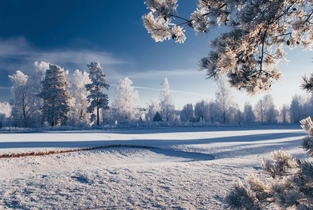 A cold winter landscape seen in Sweden