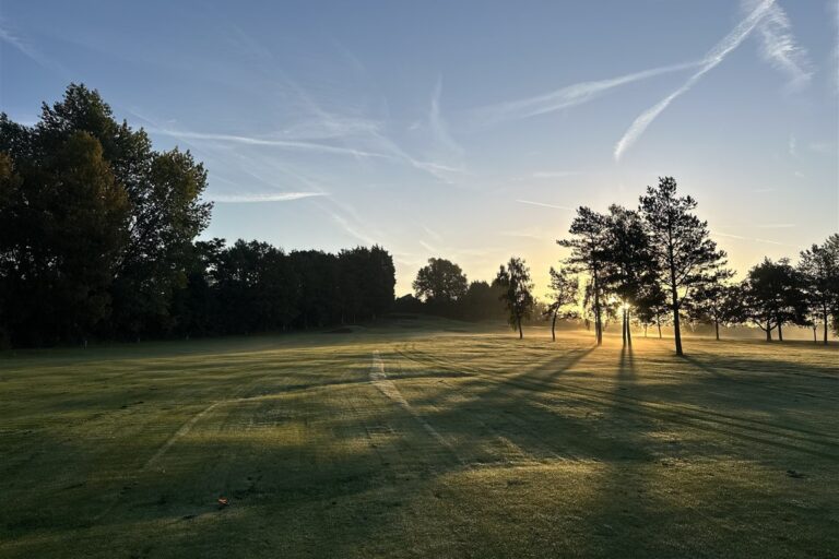 winter open dec pines sunrise
