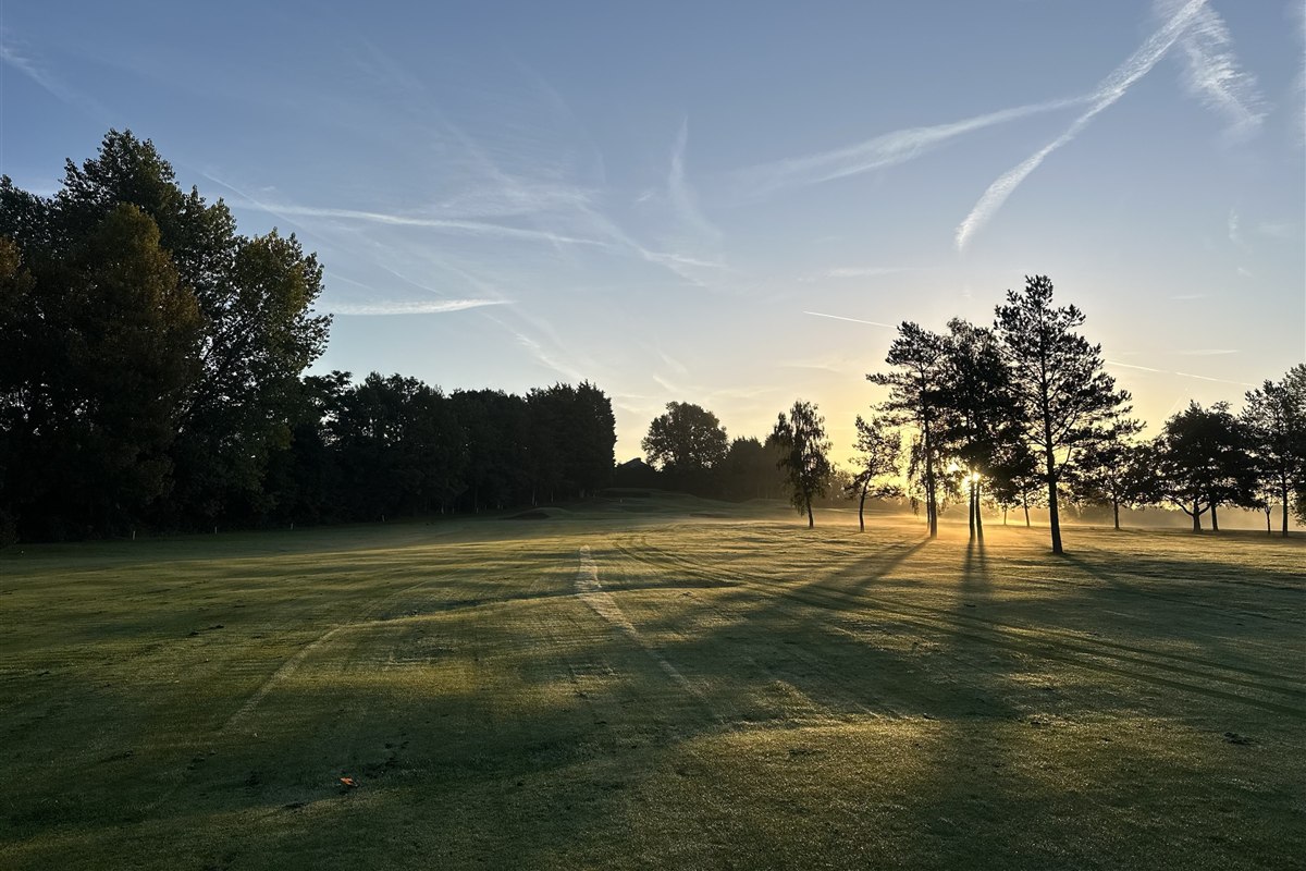 Low winter sun shining through pine trees across a frosty, misty fairway at Bury Golf Club